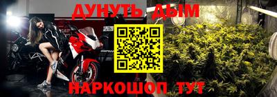 PSILOCYBIN Тверь