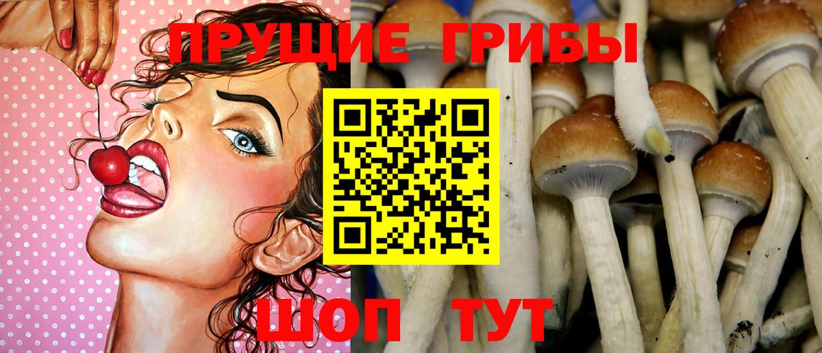 Галлюциногенные грибы Cubensis  Вход с VPN  Нижний Тагил 