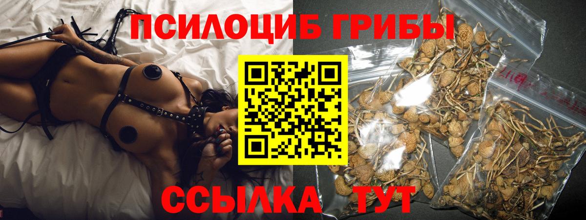 Псилоцибиновые грибы Cubensis Нижний Тагил